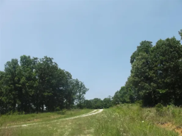 LOT 31 Holiday Hls, Wappapello, MO 63966