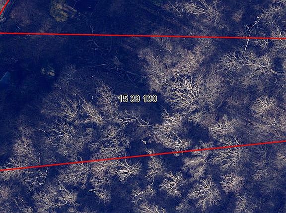 2nd image of 1528 Coco Rd