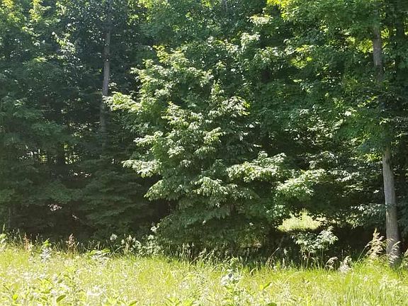 3rd image of 4279 Weatherwood Dr