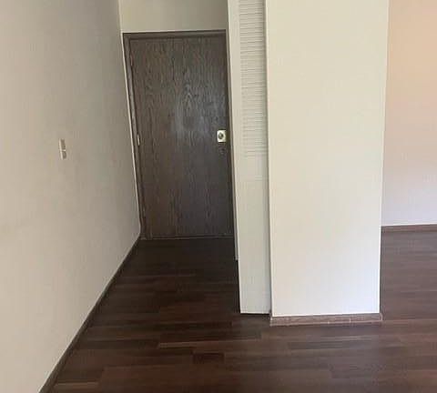Main entrance to apartment with spacious closet and new flooring