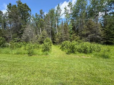 S Hill Island Rd, Cedarville, MI, 49719