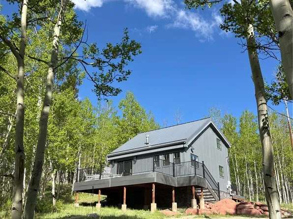 47 Lumberjack Road, Fairplay, CO 80440