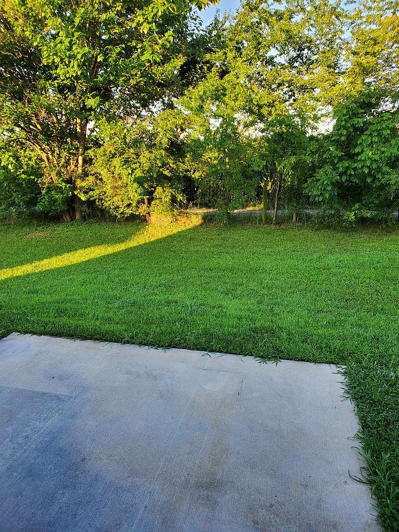 3 Bedroom, 2 Bath, 2 Car Garage — Photo 4