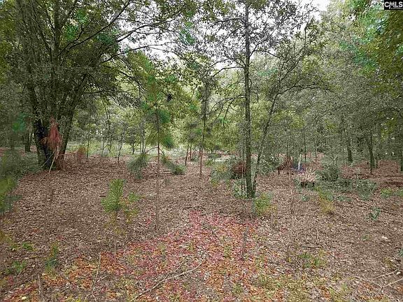 5th image of 853 Kershaw Hwy