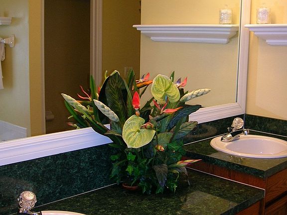 4th image of 4815 Portobello Cir
