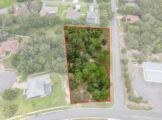 0 Winding Oaks Blvd., Hudson, FL 34667