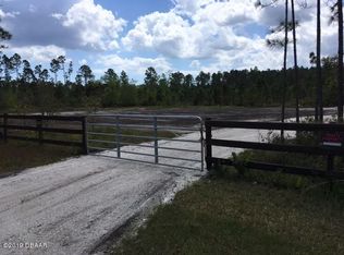 339 Old Bubbly Rd, Pierson, FL 32180