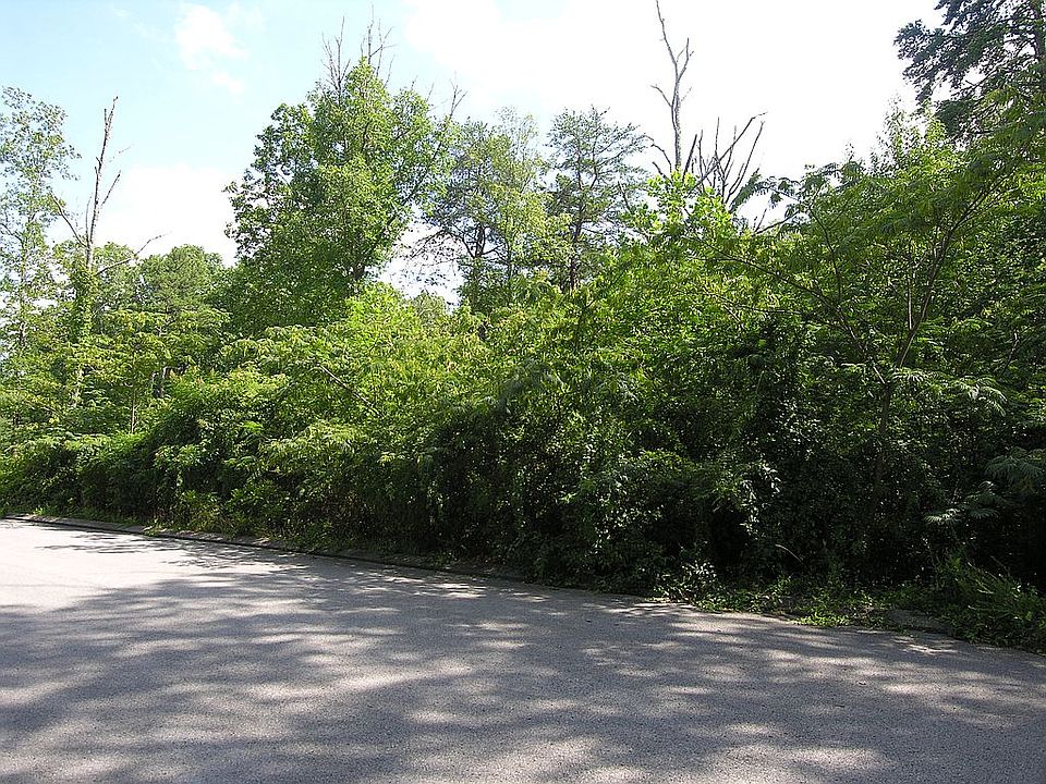 Lot view