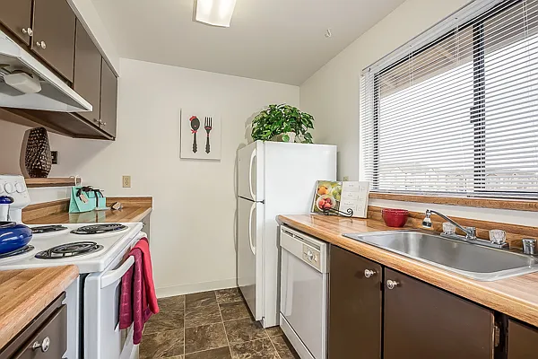 Crystal Springs Apartments — Photo 91