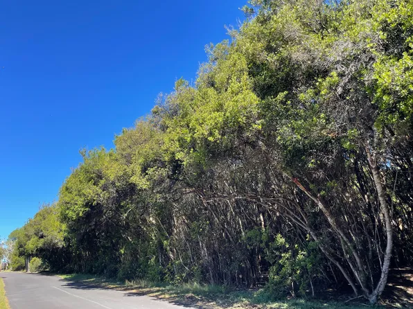 99-7718 W Kaohelo Pl Lot 339, Volcano, HI 96785