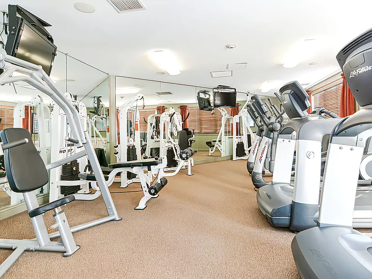 Fitness Center with Cardio Machines and Weights