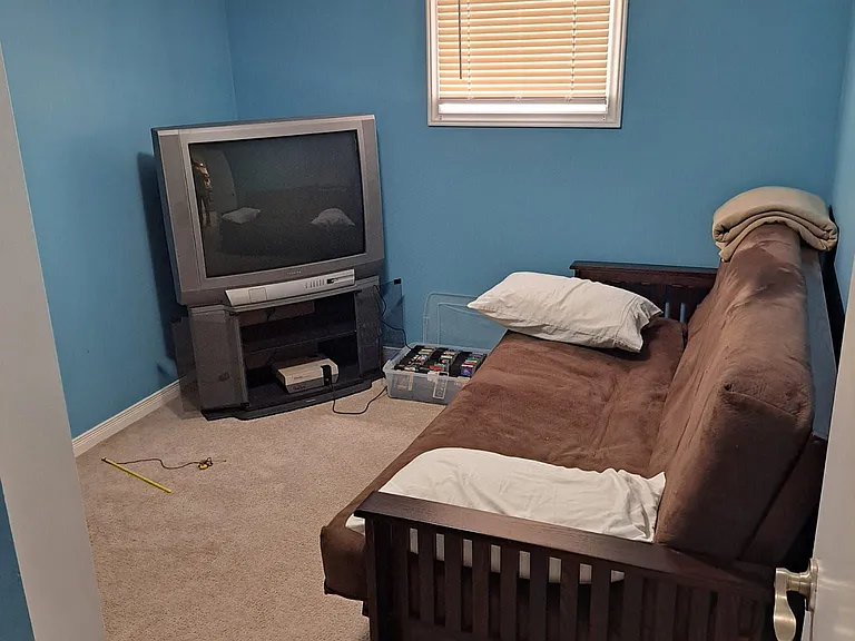 1 Greybeaver Trl #BASEMENT — Photo 5