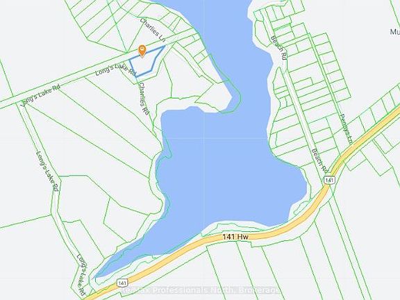 5th image of 234 Longs Lake Rd