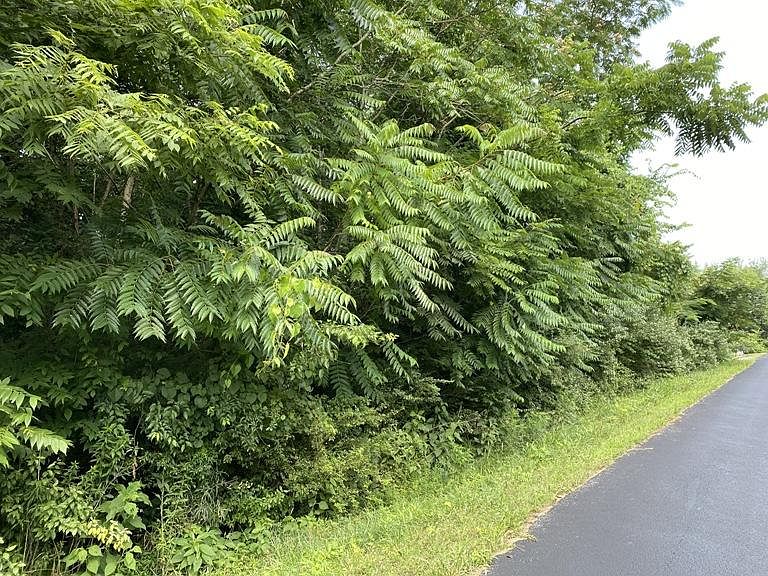 2nd image of 267 Ootsima Way Lot 30