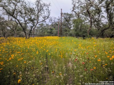 TBD County Road 6813 LOT 34/35, Natalia, TX, 78059