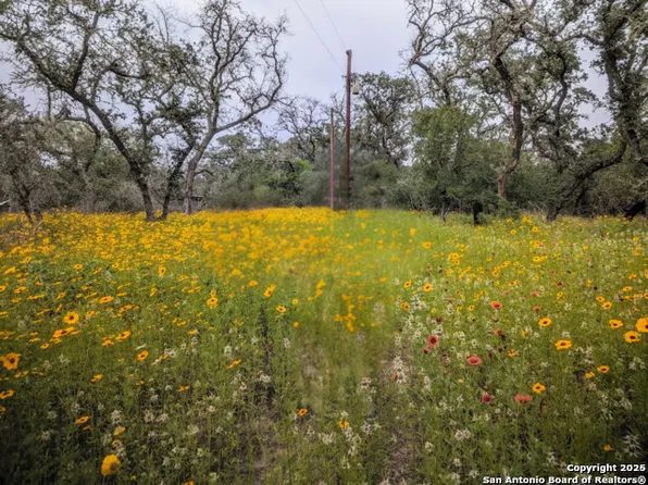 TBD County Road 6813 LOT 34/35, Natalia, TX 78059