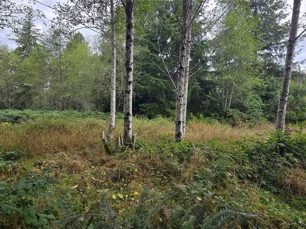 1351 Satsop Road W, Montesano, WA 98563