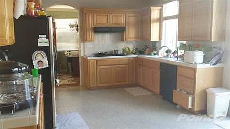 00x0x_ha4DYdL0qpL_600x450