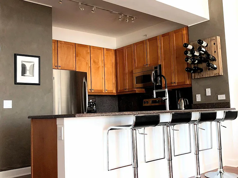 1235 S Prairie Ave #2108 — Photo 6