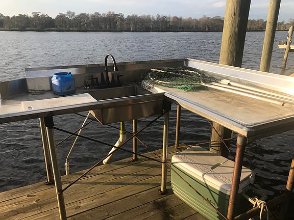 Fish sink