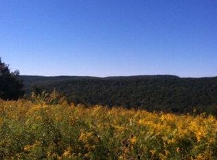 2960 Suffern Hill Rd, Wellsburg, NY 14894