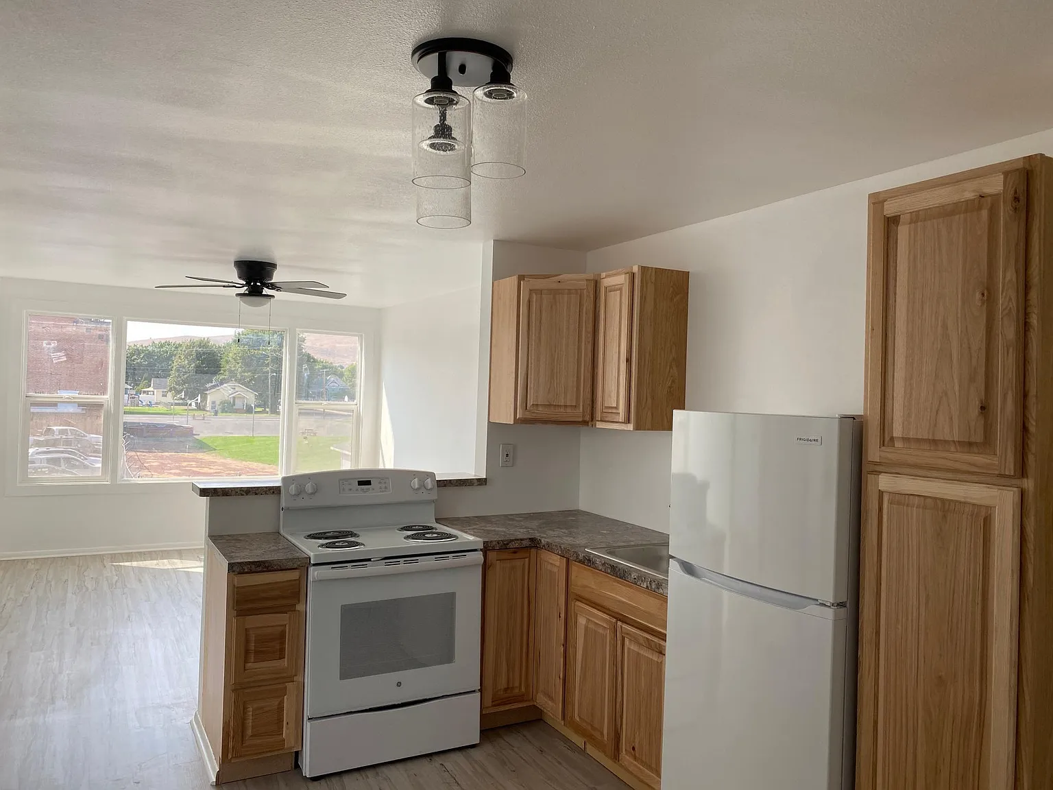 1 bed, 800 sqft, $1,100 — Photo 2