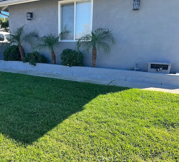 4 bed, 1430 sqft, $6,000 — Photo 2