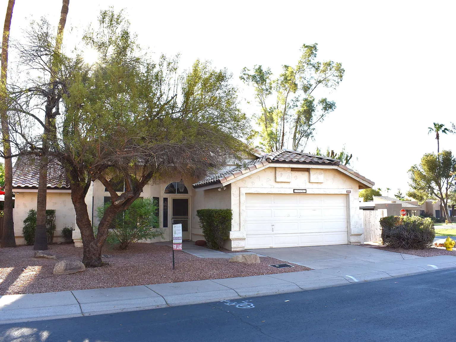 2 bed, 1513 sqft, $1,800 — Photo 1