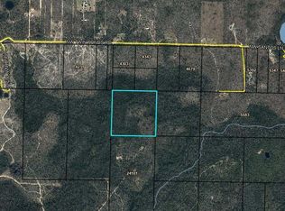 0 NW Camp Head Rd, Altha, FL 32421