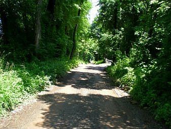 Lane View