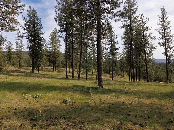 3rd image of Corkscrew Canyon Rd Parcel A