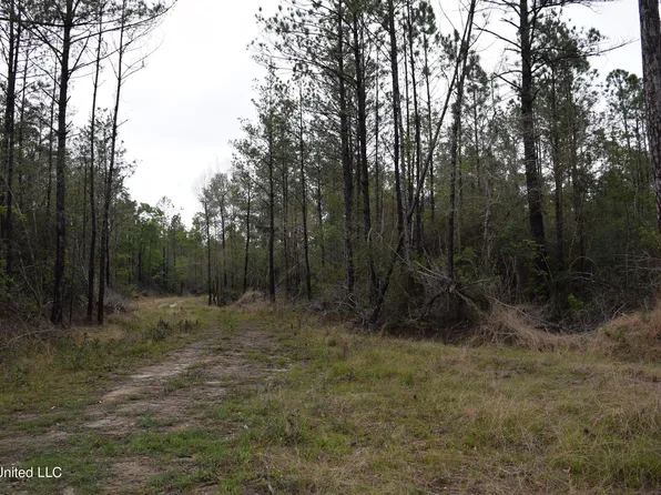 0 Road 328, Perkinston, MS 39573