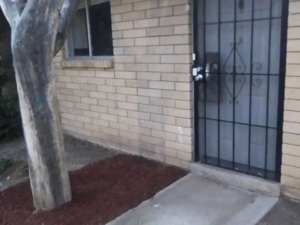 541 Palomas