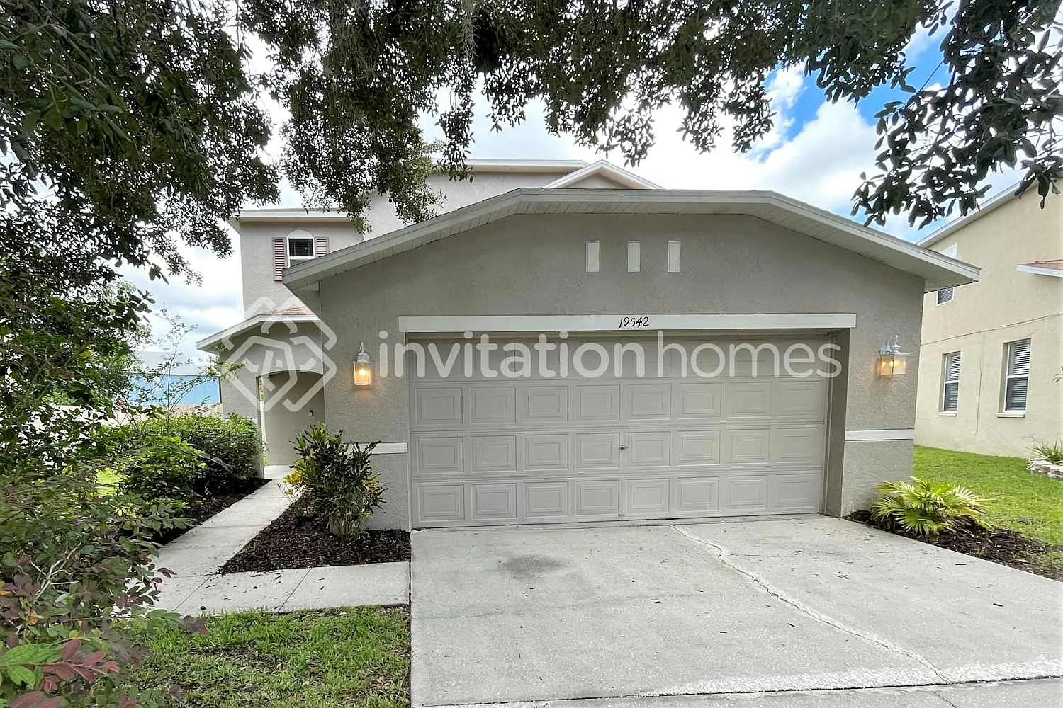 19542 Timberbluff Dr Land O Lakes, FL 34638 — Photo 1