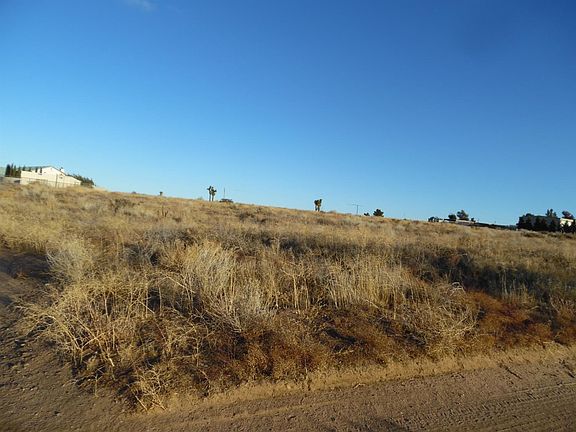 3rd image of Cactus Dr