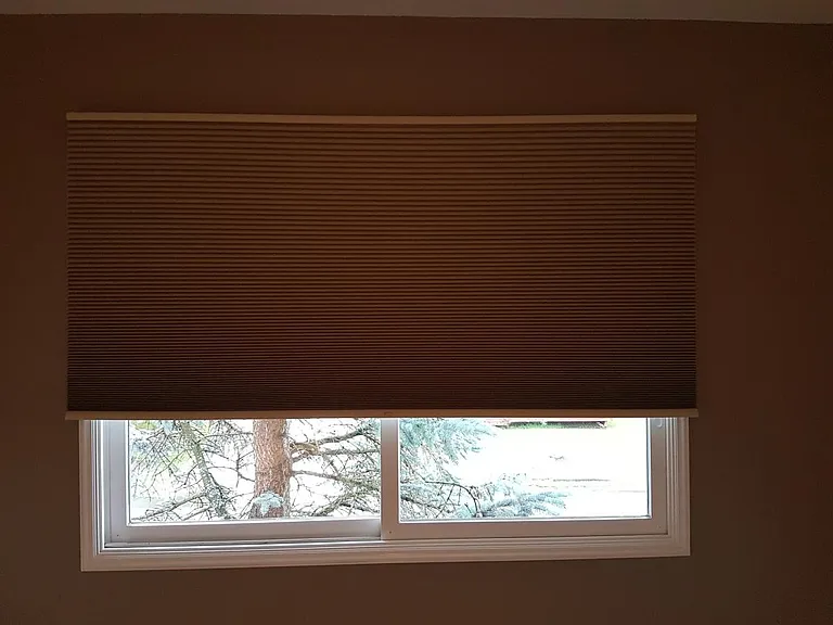 Blackout Blinds in BRs