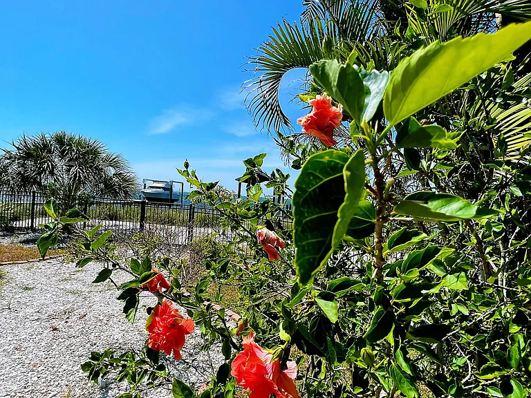 3508 W Shell Point Rd — Photo 56