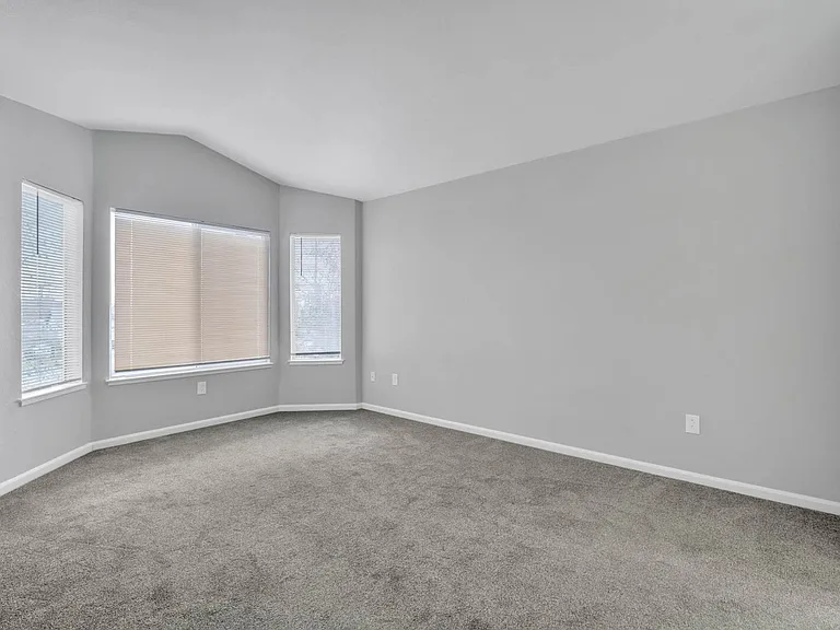 244 Delta Leaf Way — Photo 15