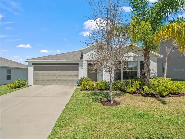 10517 STRAWBERRY TETRA DRIVE, RIVERVIEW, FL 33578