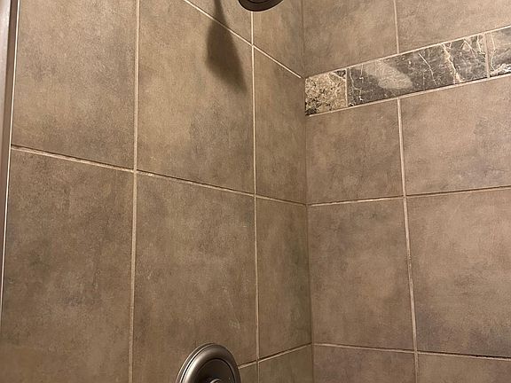 Master bath shower