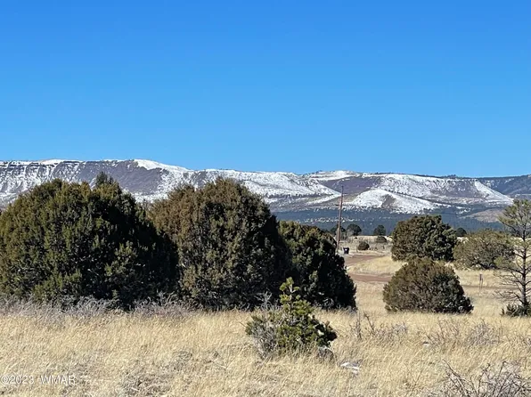 51 N 2003rd, Nutrioso, AZ 85932