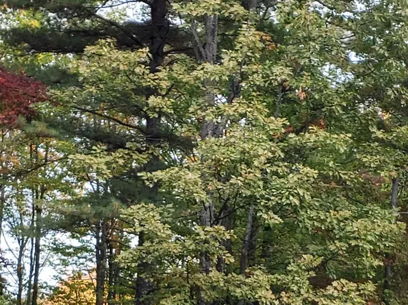 63 Dead Reckoning Point #61, Laconia, NH 03246