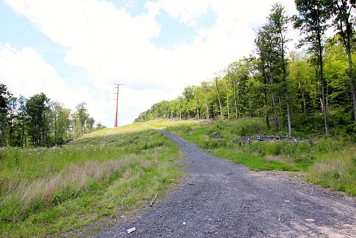 1st image of Bald Mountain Rd