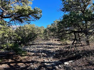 202 Mill Run Rd, Mosca, CO 81146