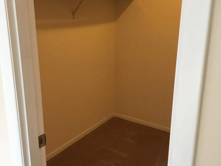 Walk-in closet in bedroom