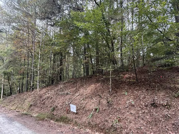 136 Guidon Ct, Ellijay, GA 30540