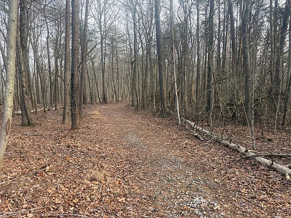 3rd image of 0 Shivas Crest Crst #70B