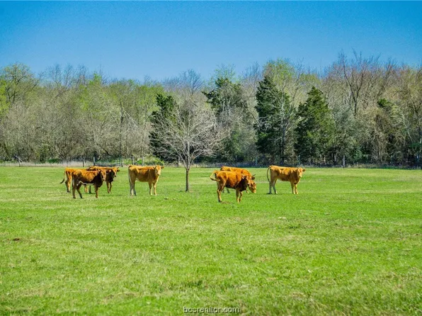 460 County Road 328, Caldwell, TX 77836