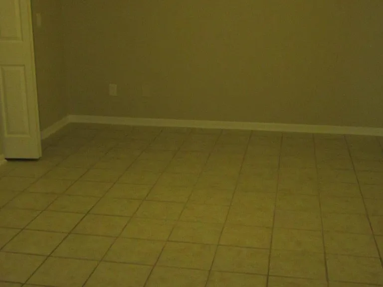 Travelers Palm Dr — Photo 11