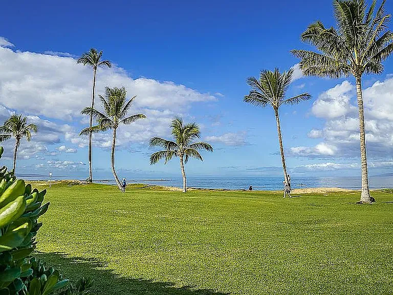 1002 S Kihei Rd #102 — Photo 9